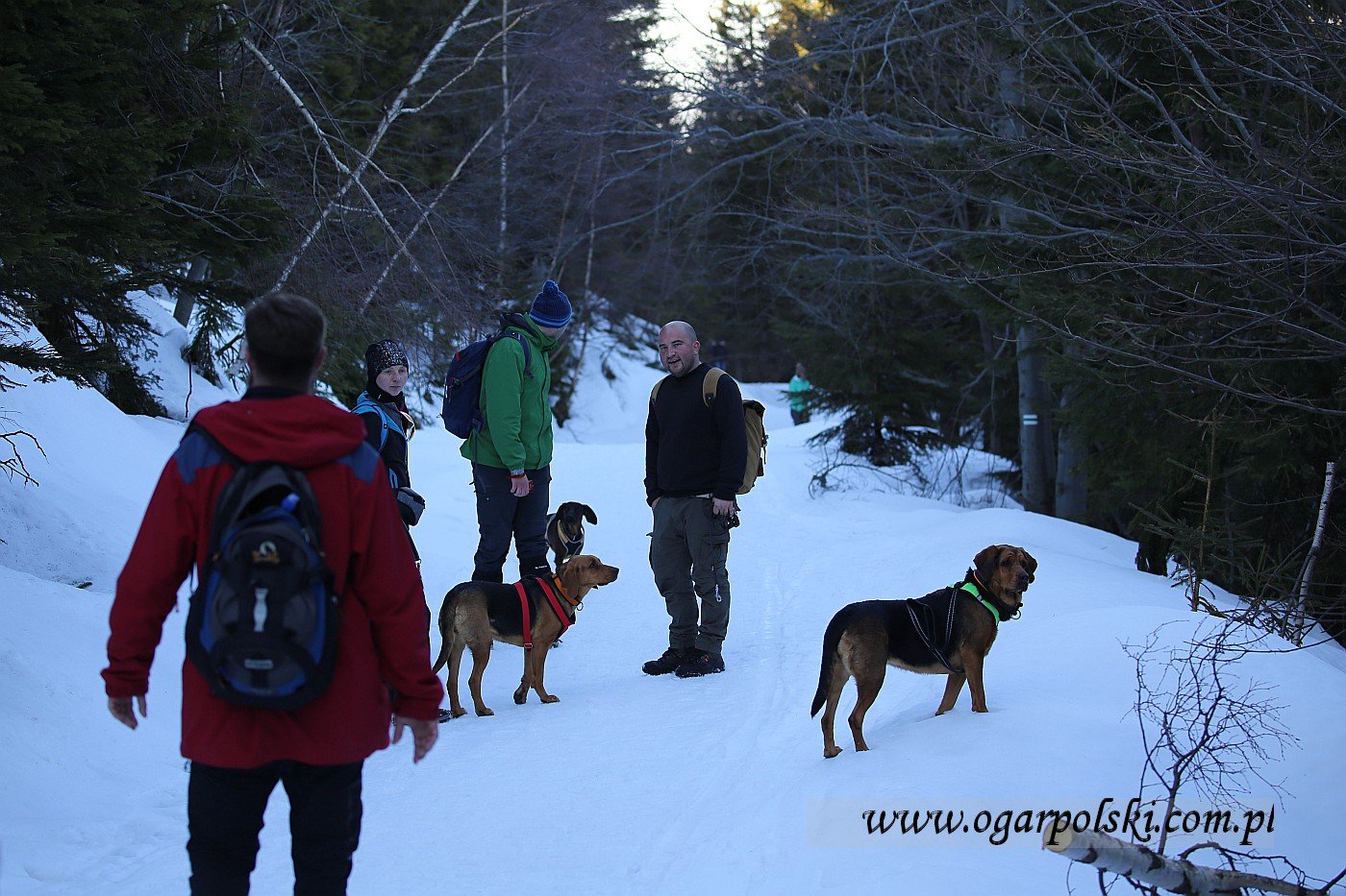 Afera, Fatra, Kalinka.