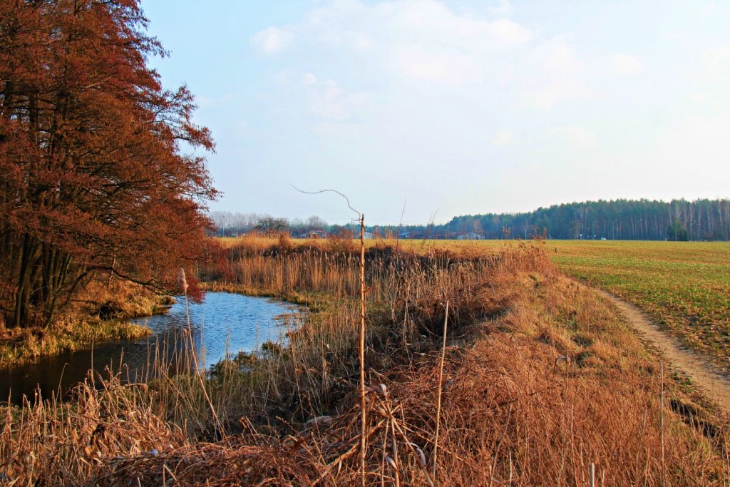 Wracamy do domu taką drogą...