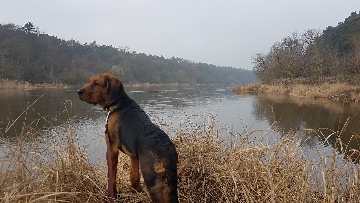 20190215_143742.jpg