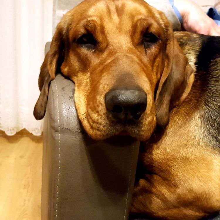 20190308_204400.jpg