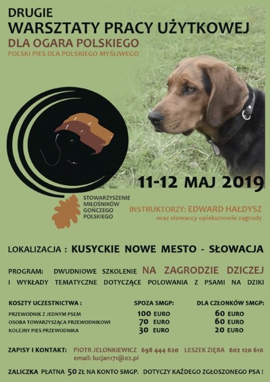 OGAR POLSKI PLAKATV2.jpg
