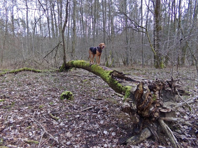 100_0466.JPG