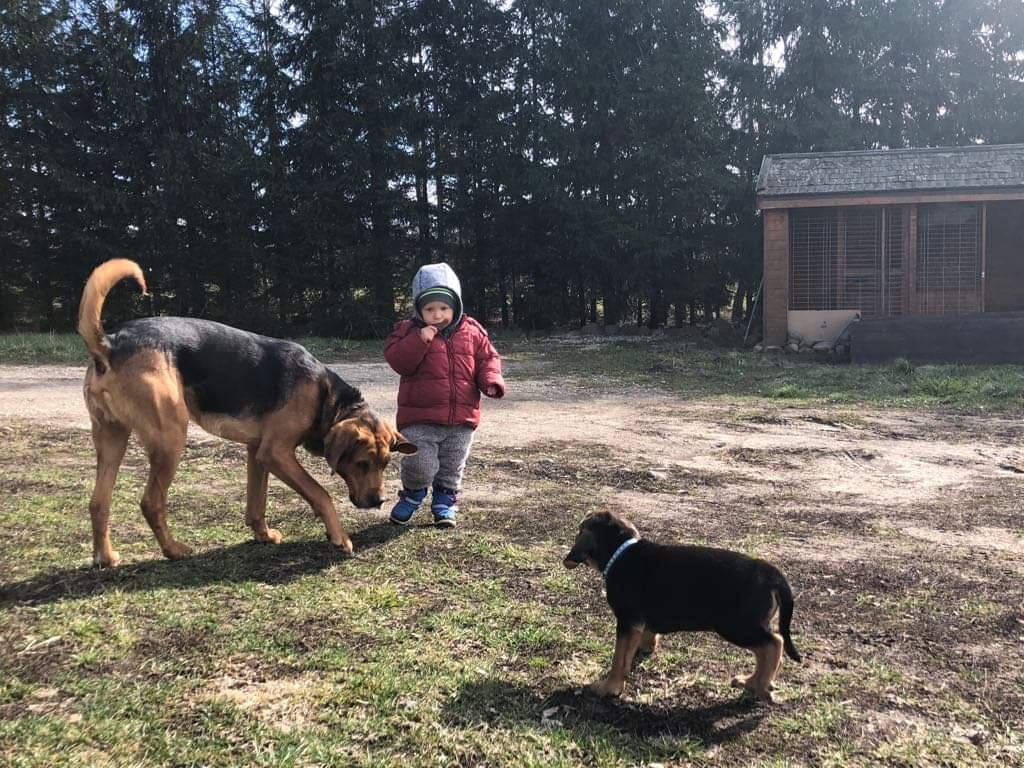 received_338226926814714.jpeg