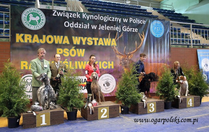 Finały wyżełki znajome.