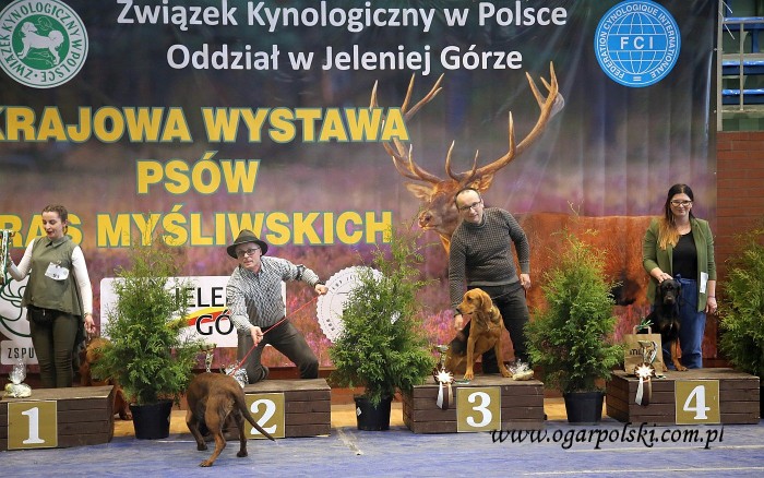 Finały gr. VI