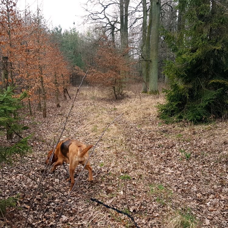20190321_094022.jpg