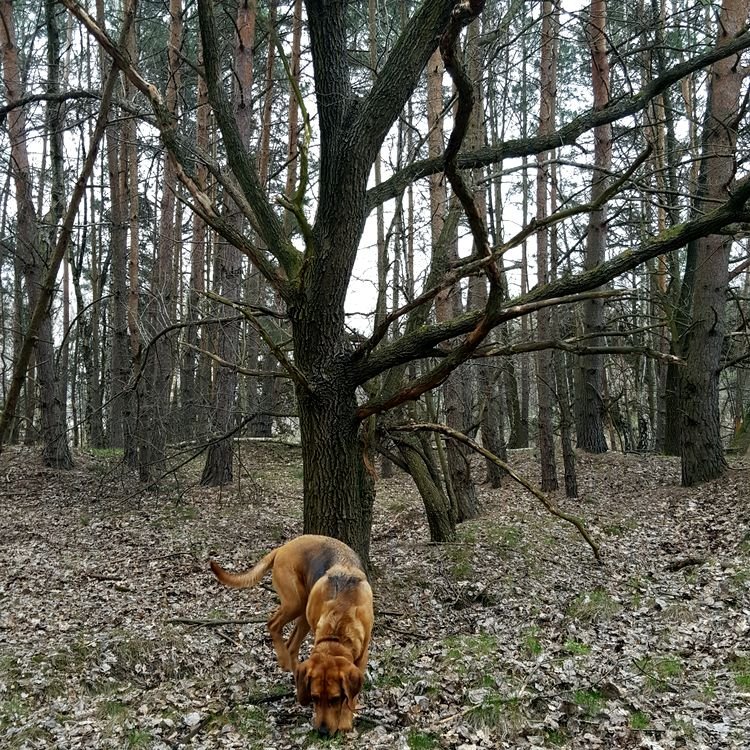 20190321_094529.jpg