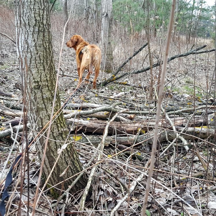 20190321_094924.jpg