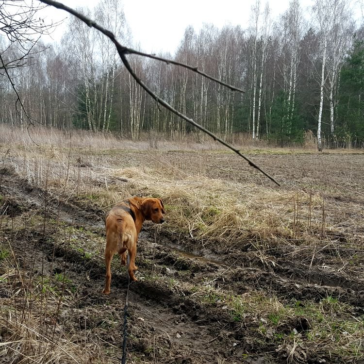20190321_095111.jpg