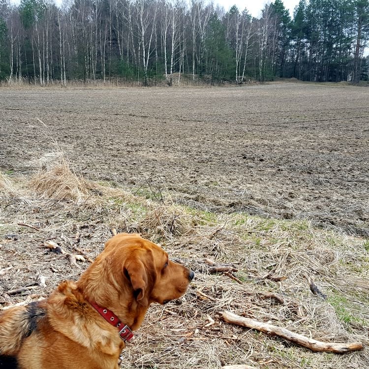 20190321_095258.jpg