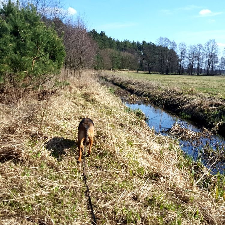 20190324_135647.jpg