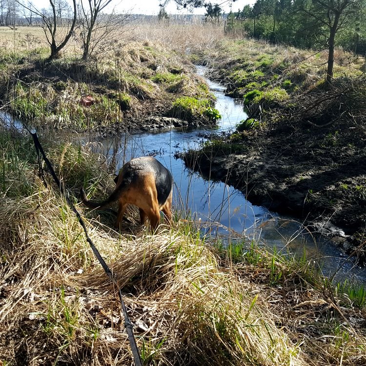20190324_135519.jpg