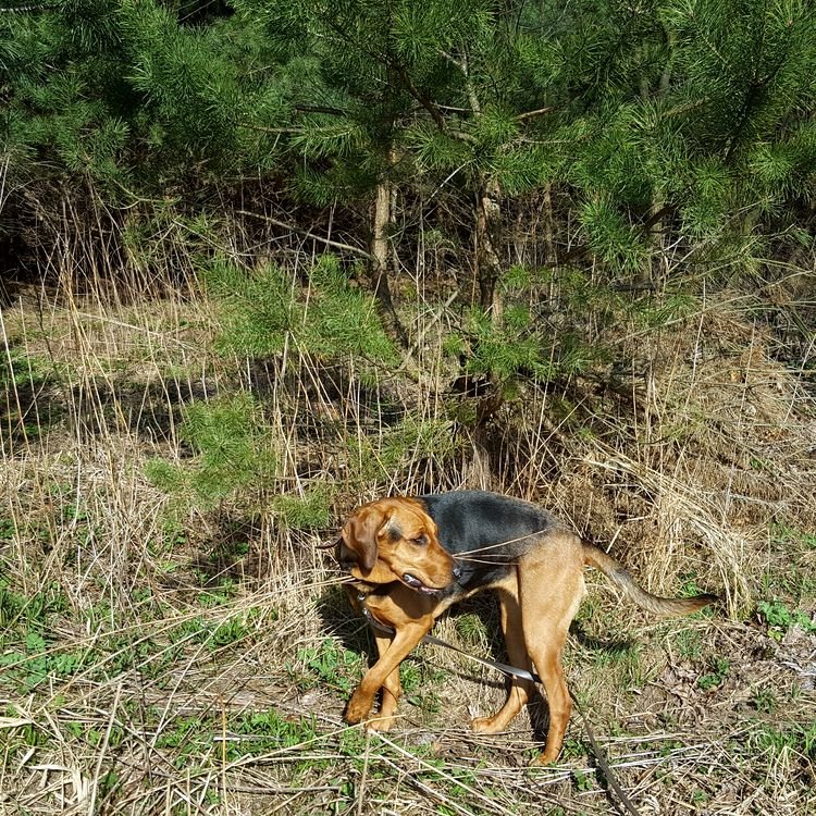 20190324_135734.jpg