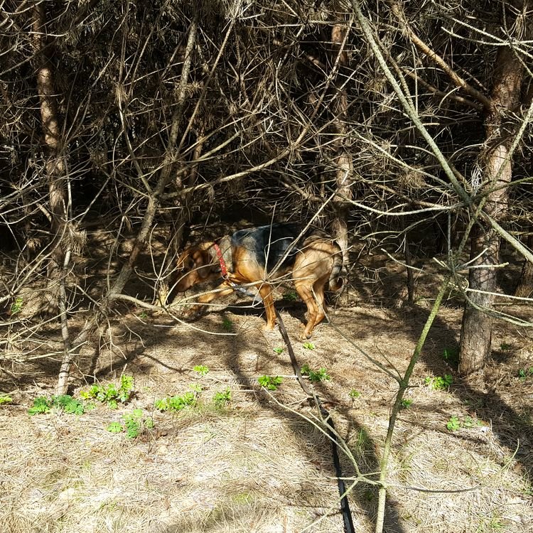 20190324_135854.jpg