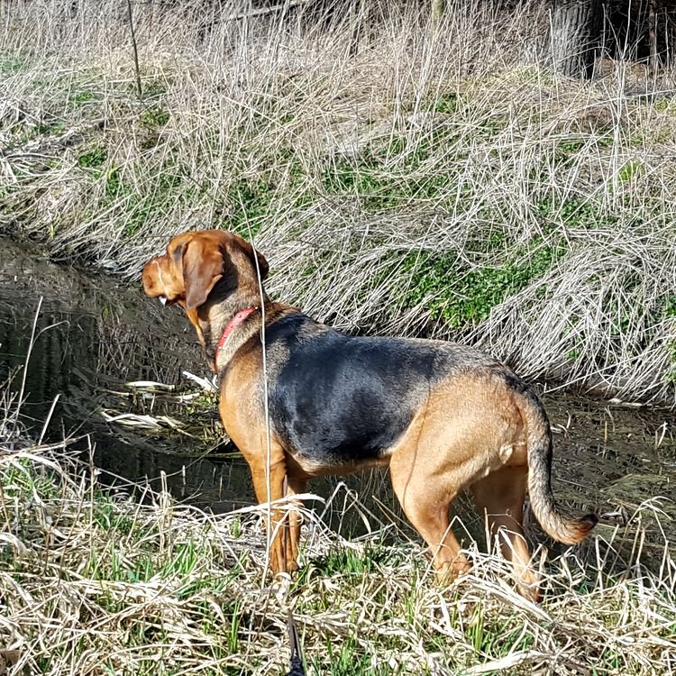 20190324_140437.jpg