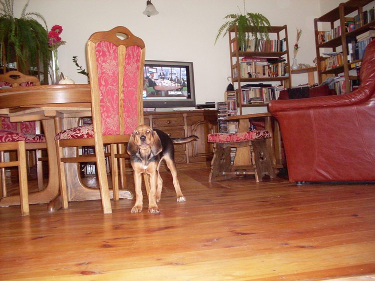 Trojka-październik 2008 105.jpg