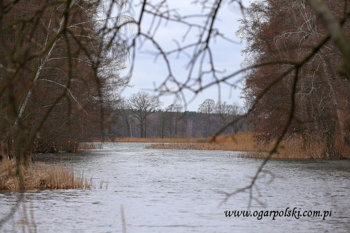 małe-IMG_7980.jpg