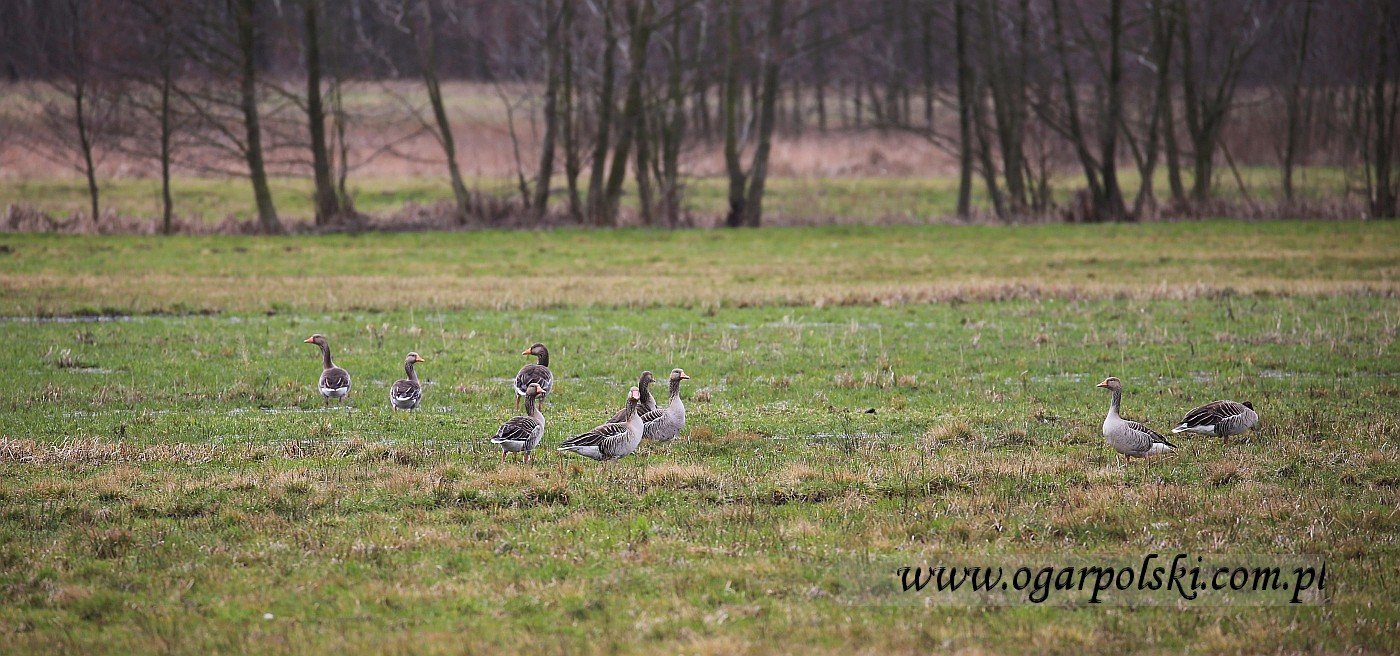 małe-IMG_8028.jpg