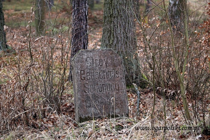 małe-IMG_8148.jpg