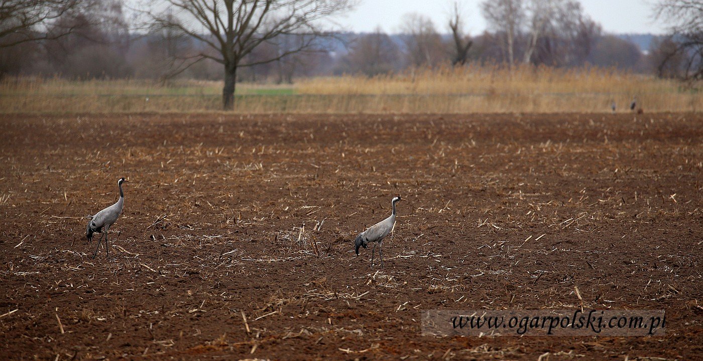 małe-IMG_8152.jpg