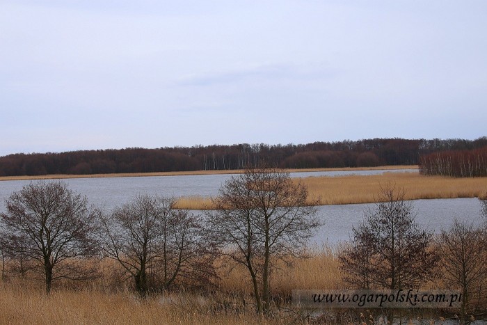 małe-IMG_8166.jpg