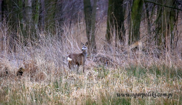 małe-IMG_8180.jpg