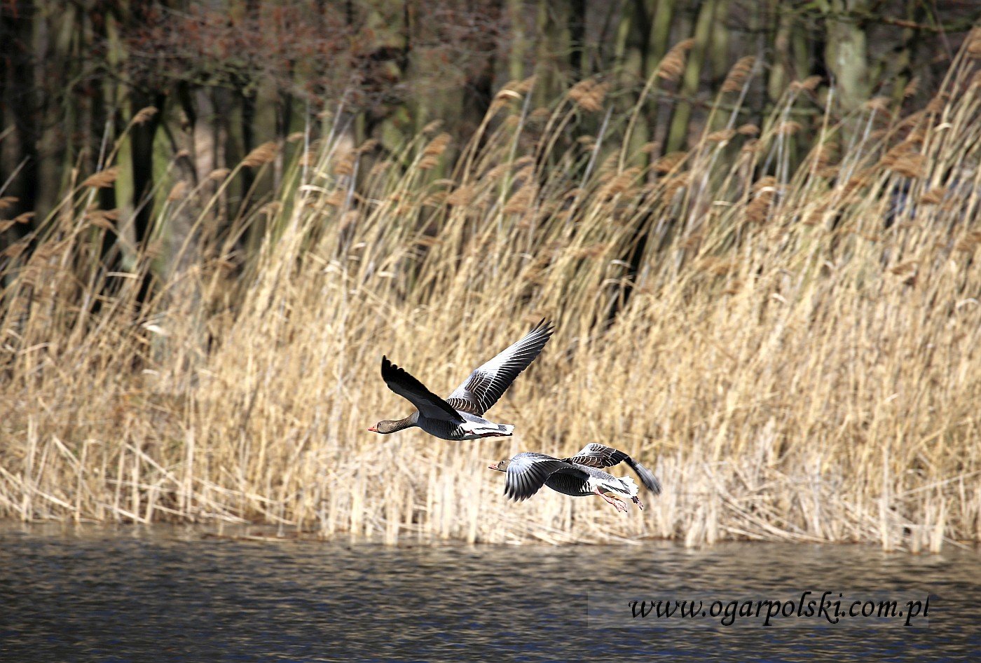 małe-IMG_8210.jpg