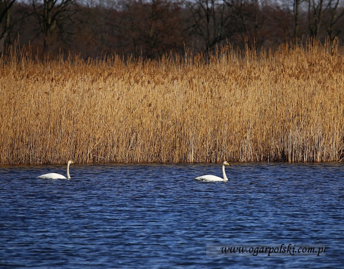 małe-IMG_8212.jpg