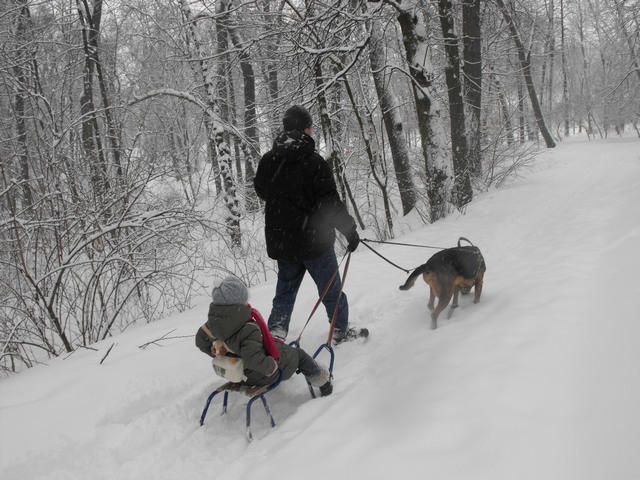 2010_0214Puławy0072.JPG