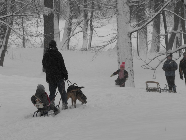 2010_0214Puławy0074.JPG