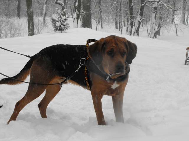 2010_0214Puławy0075.JPG