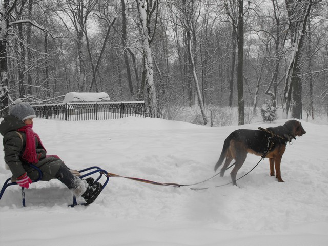 2010_0214Puławy0078.JPG