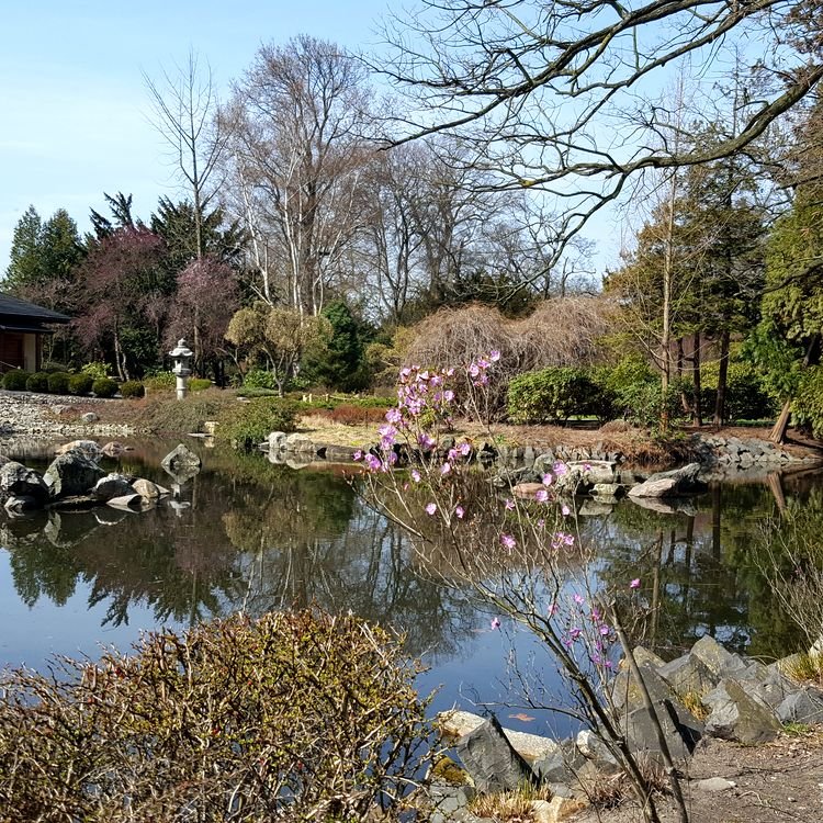 20190330_113512.jpg