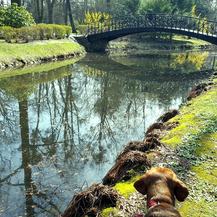 20190330_113046.jpg