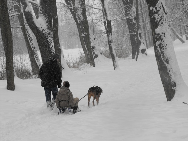 2010_0214Puławy0081.JPG