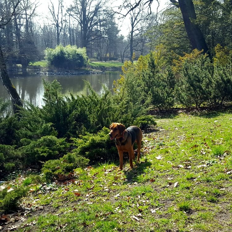 20190330_110724.jpg