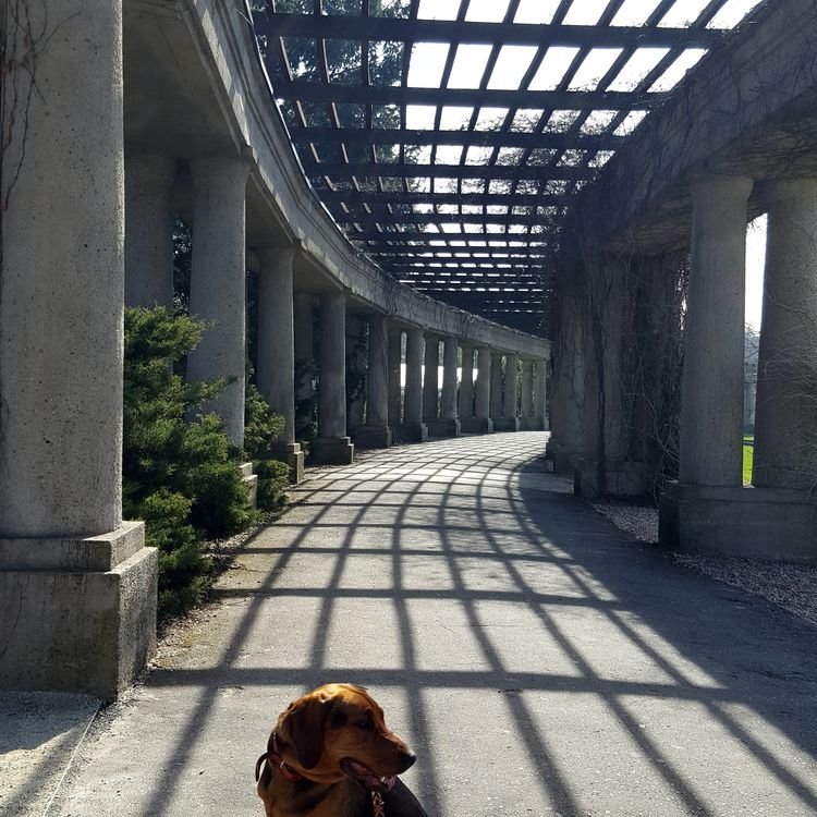 20190330_112702.jpg