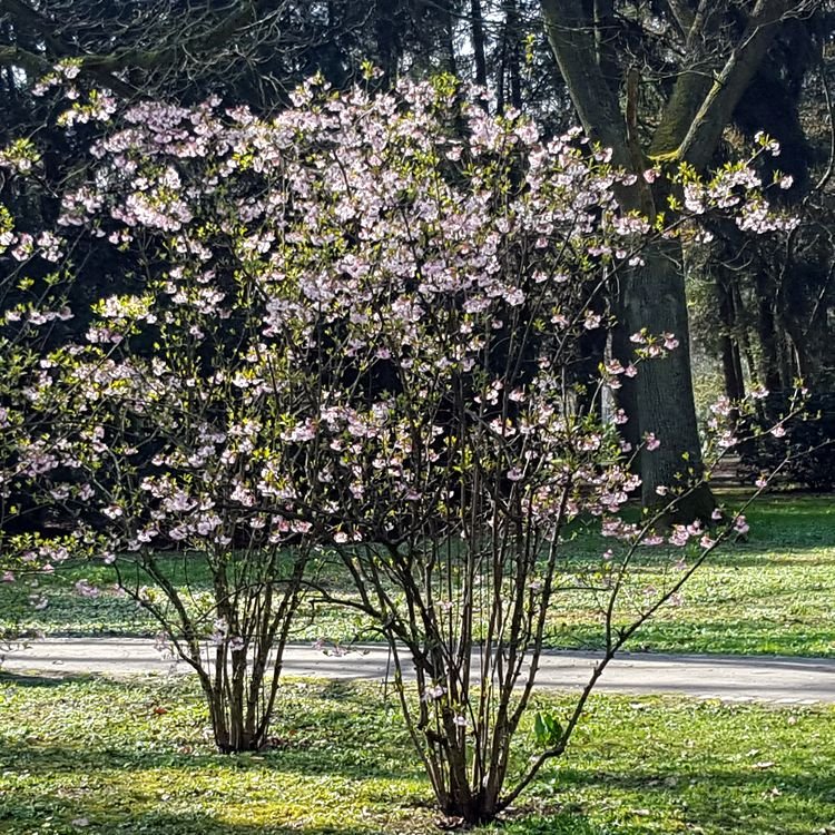 20190330_105835.jpg
