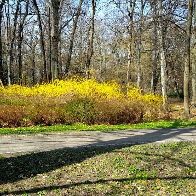 20190330_110453.jpg