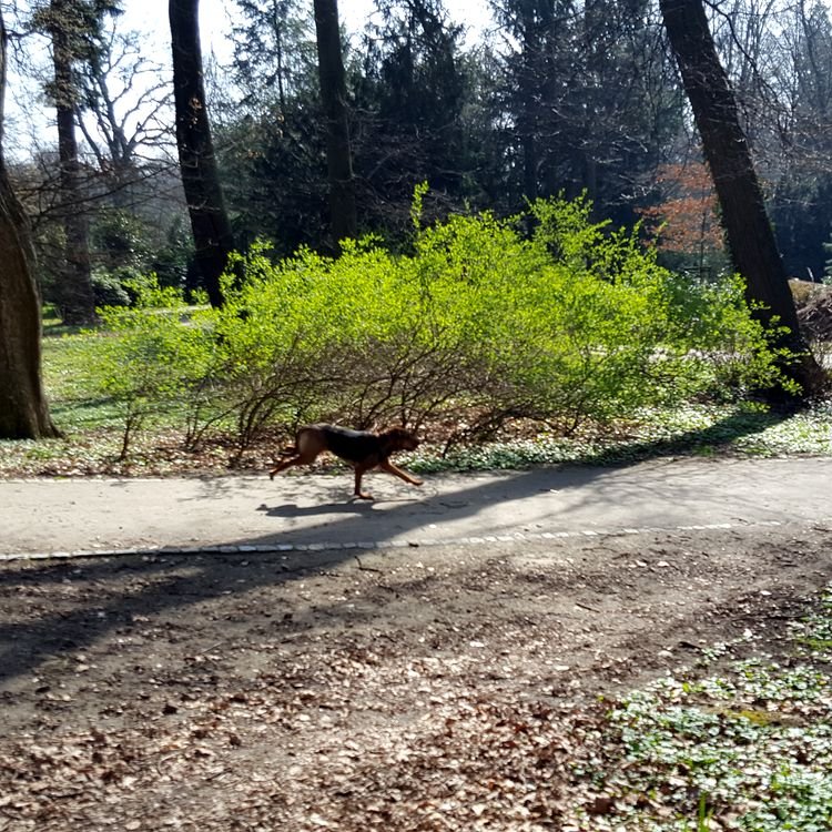 20190330_104829.jpg