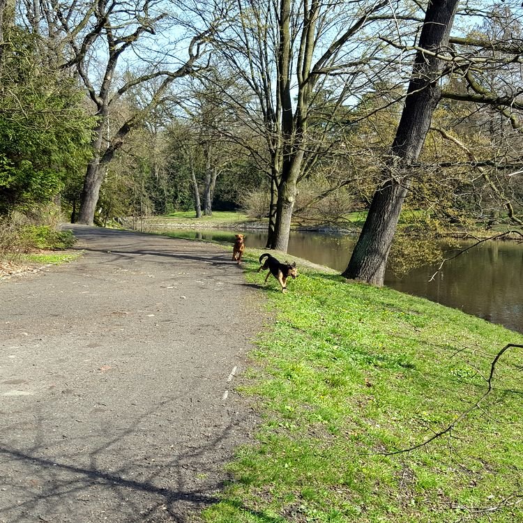 20190330_111035.jpg