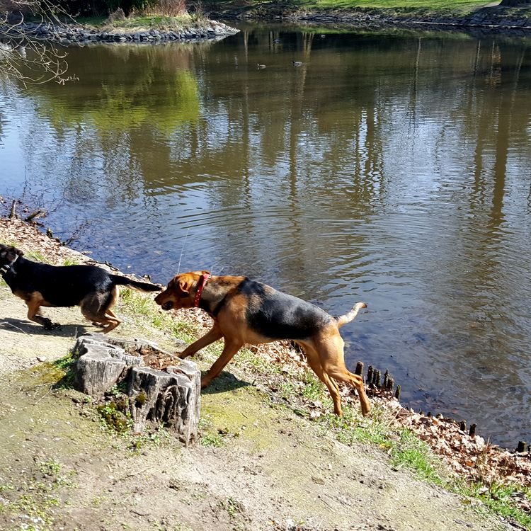 20190330_111056.jpg