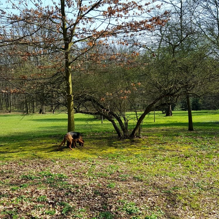 20190330_105122.jpg