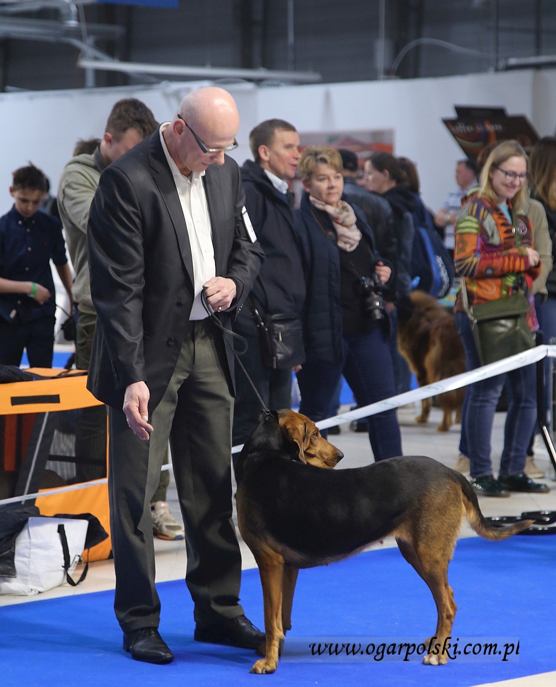 RUSA Poszły w Las