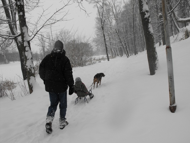2010_0214Puławy0091.JPG