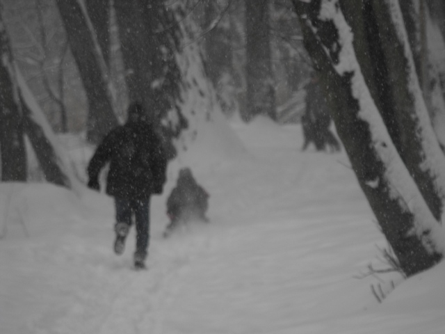 2010_0214Puławy0092.JPG