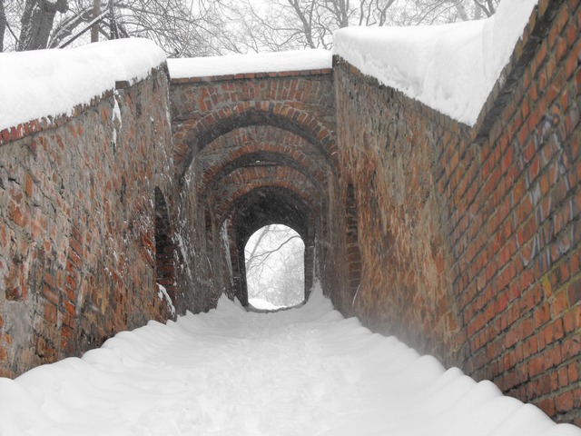 2010_0214Puławy0099.JPG