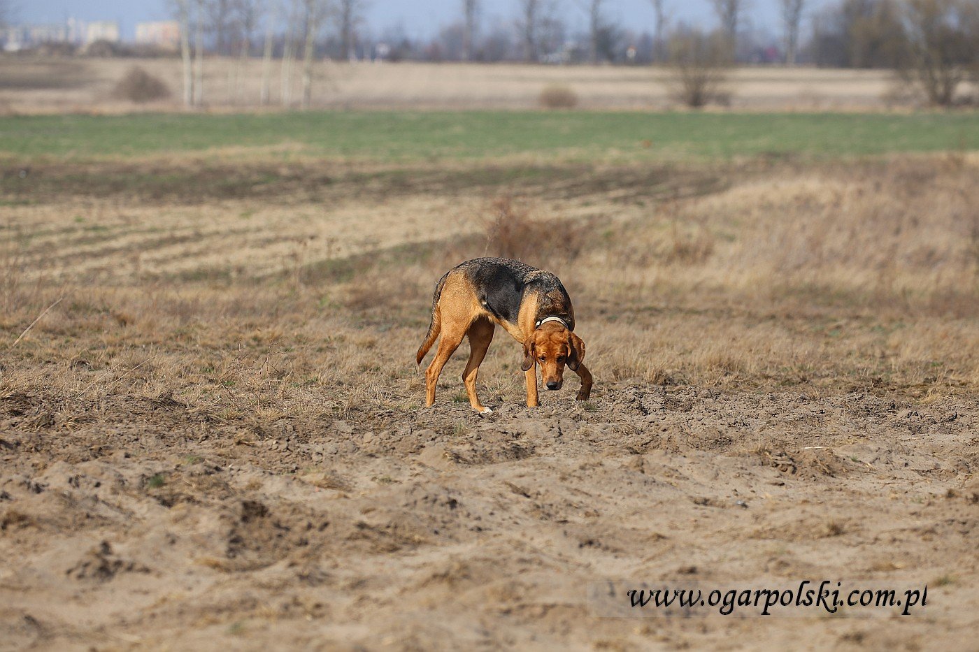 małe-IMG_8637.jpg
