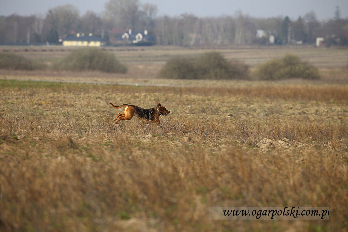 małe-IMG_8738.jpg