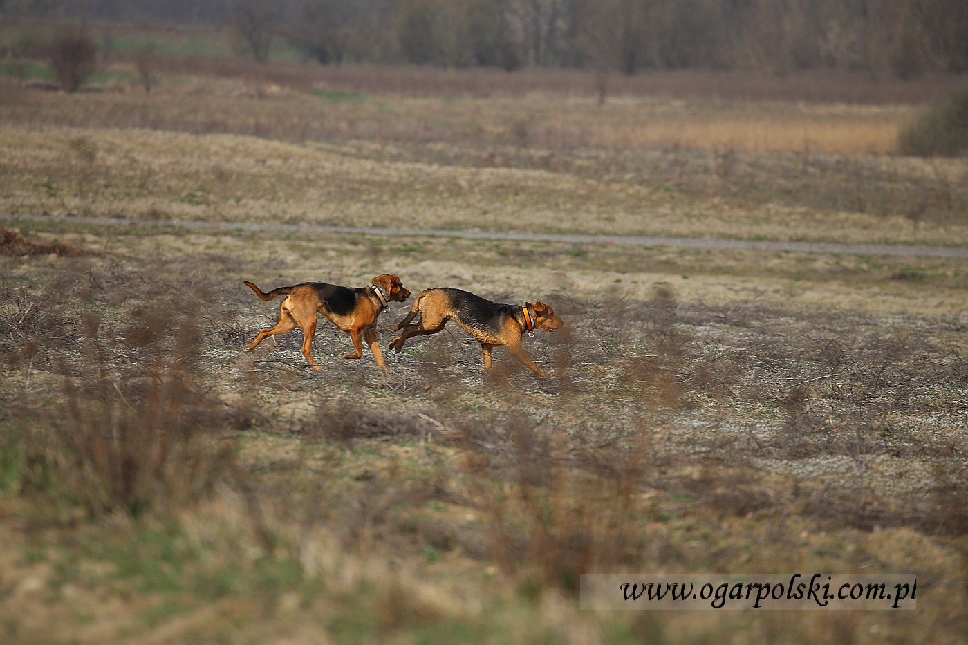 małe-IMG_8744.jpg